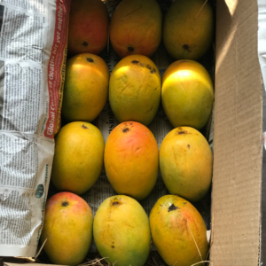 Natural Alphonso Mango